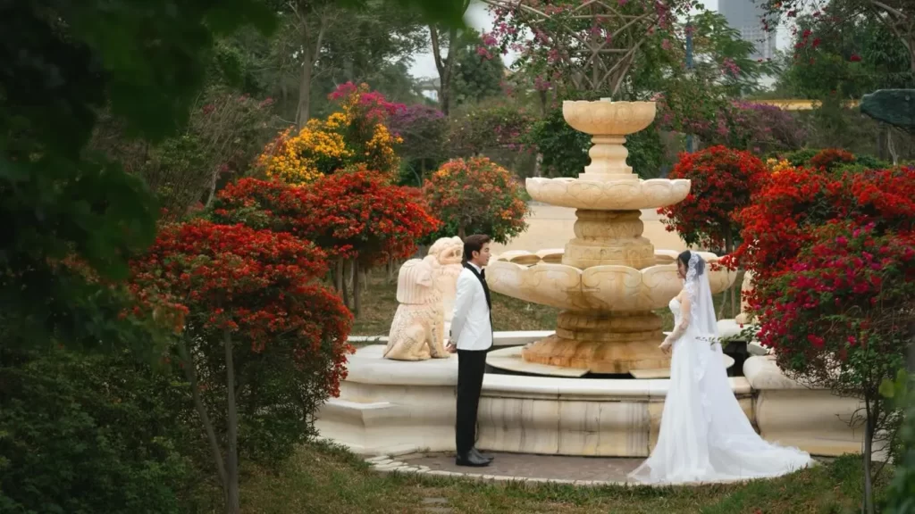 Hoa giay cong vien rong