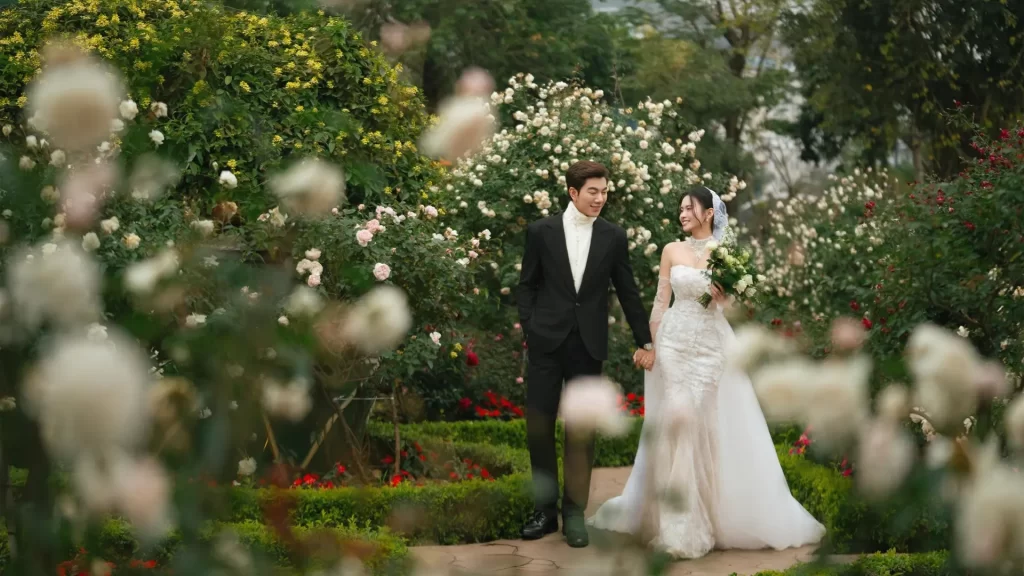 Hoa giay cong vien rong